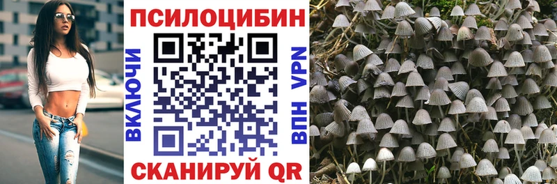 сколько стоит  Динская  Псилоцибиновые грибы прущие грибы 